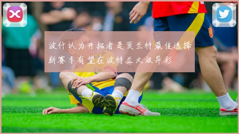 波什认为开拓者是莫兰特最佳选择新赛季有望在波特兰大放异彩